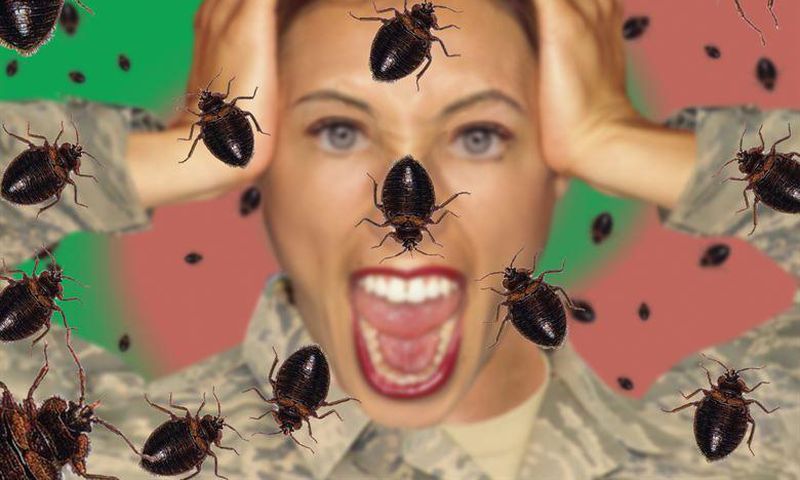 Is your home bugs infested [BodyDesignsbyMary]