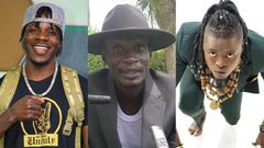 Alien Skin, Abitex and Pallaso
