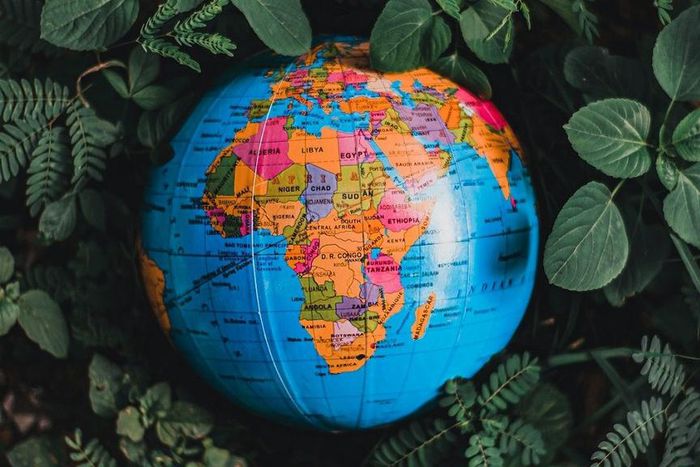 Globe in green leaves with map of Africa in view [Photo: Nothing Ahead]