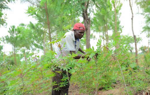 Robert Ezati credits much of this transformation to his collaboration with the Ecological Christian Organization.