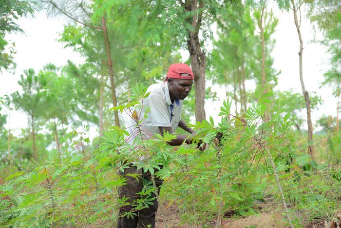 Robert Ezati credits much of this transformation to his collaboration with the Ecological Christian Organization.