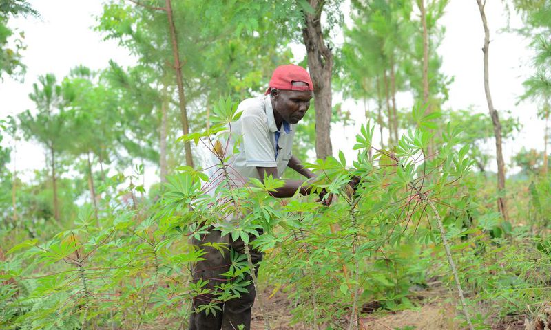 Robert Ezati credits much of this transformation to his collaboration with the Ecological Christian Organization.