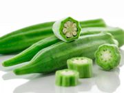 Okra prevents vaginal dryness and atrophy