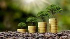 Banking industry sets out to reward green financing: How to participate/Courtesy