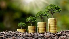 Banking industry sets out to reward green financing: How to participate/Courtesy