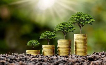 Banking industry sets out to reward green financing: How to participate/Courtesy