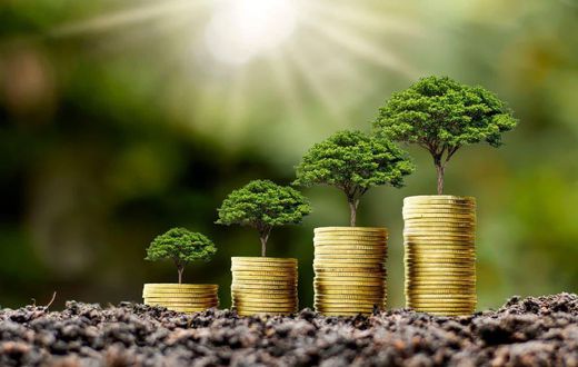 Banking industry sets out to reward green financing: How to participate/Courtesy