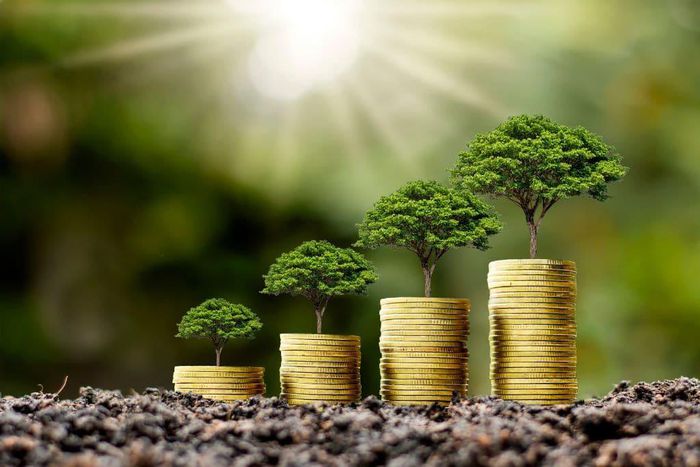 Banking industry sets out to reward green financing: How to participate/Courtesy