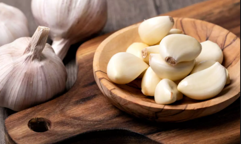 Garlic