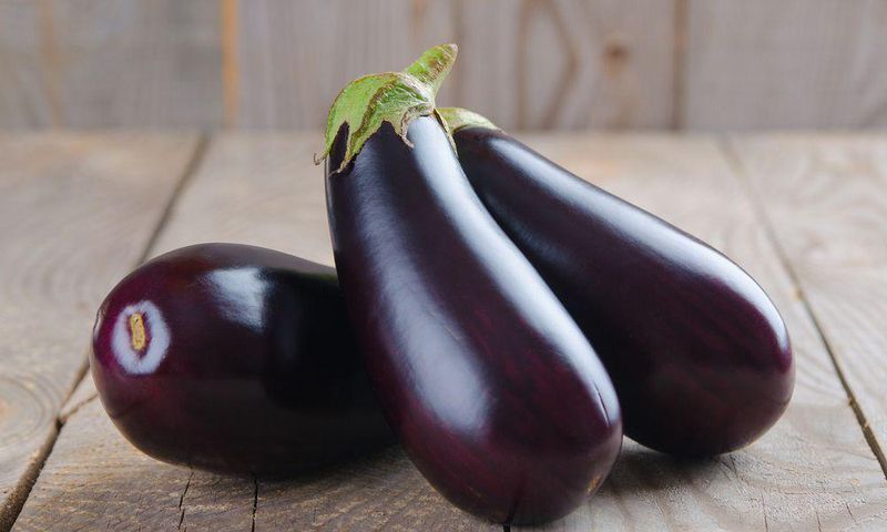 Egg plants