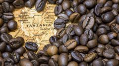 See the record-breaking amount Tanzania made in its coffee export since its independence