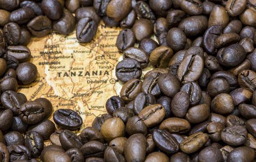 See the record-breaking amount Tanzania made in its coffee export since its independence