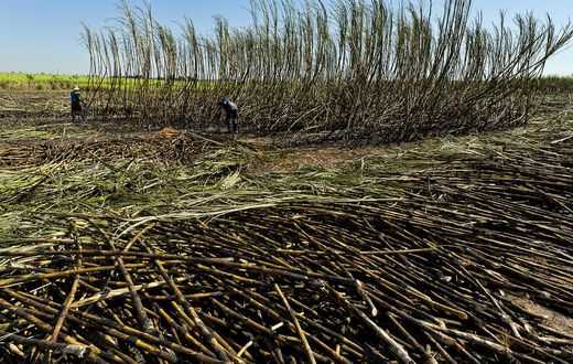 Amuru sugar factory reveals state-of-the-art reforms to curb fire attacks, climate change/Courtesy