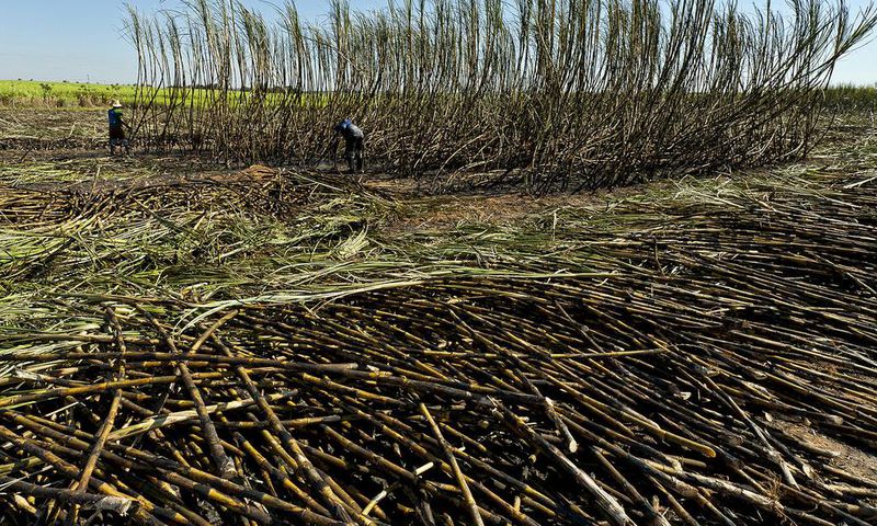 Amuru sugar factory reveals state-of-the-art reforms to curb fire attacks, climate change/Courtesy