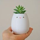This is Deskie your desk buddy gift ideas for Labour Day