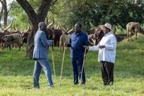President William Ruto, Uganda's President Yoweri Museveni, and former Prime Minister Raila Odinga meet in Uganda