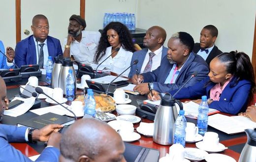 Cindy and other association members met with MPs at Parliament over copyright issues