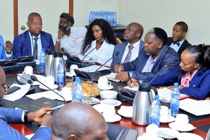 Cindy and other association members met with MPs at Parliament over copyright issues