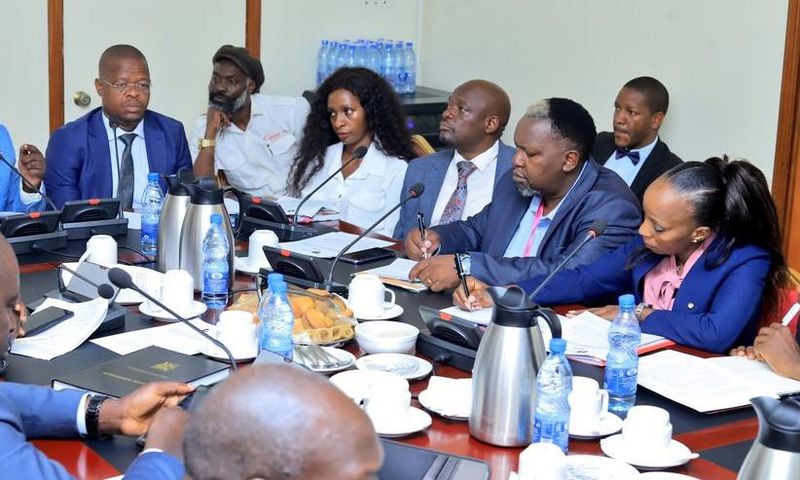 Cindy and other association members met with MPs at Parliament over copyright issues
