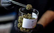 Personal usage of drugs is not a criminal offence in Portugal [NDTV]