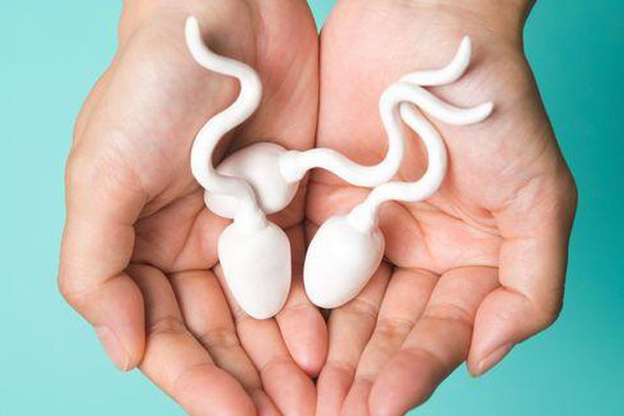 You need to let go of some unhealthy habits that may be damaging your sperm [Men's Health]