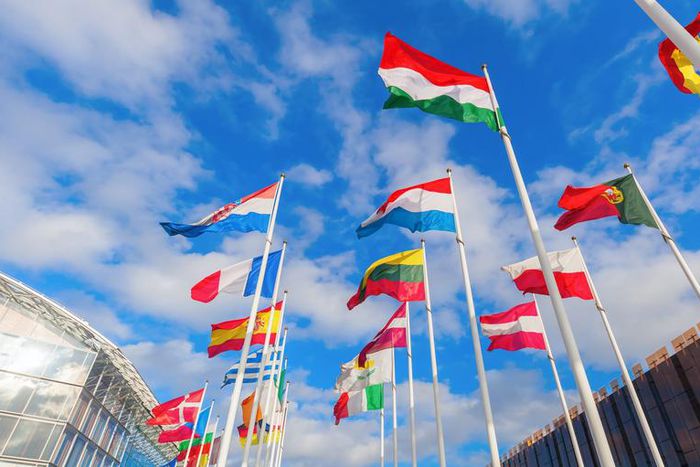 Flags of European Union member countries.