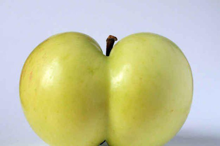 How to get back in shape after childbirth