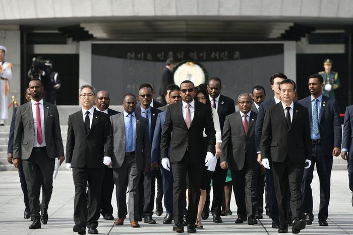 See the 8 African countries set to partner with South Korea on a new deal