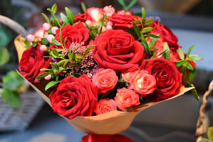 Flowers and what they represent [FloraQueen]