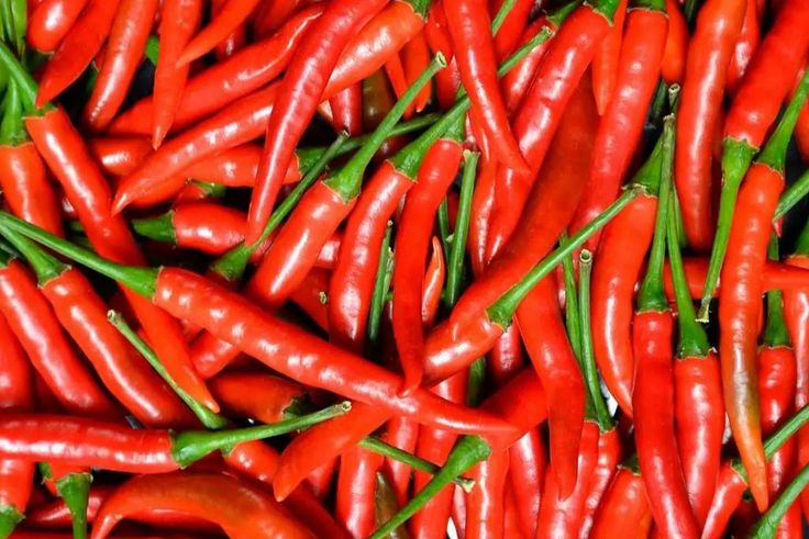 The European Commission expressed its satisfaction with the overall compliance of Ugandan peppers with the relevant requirements outlined in Union legislation.