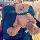 Meet Jose Chameleone's travel companion teddy bear 'Kiweewa', his ideal qualities/Instagram