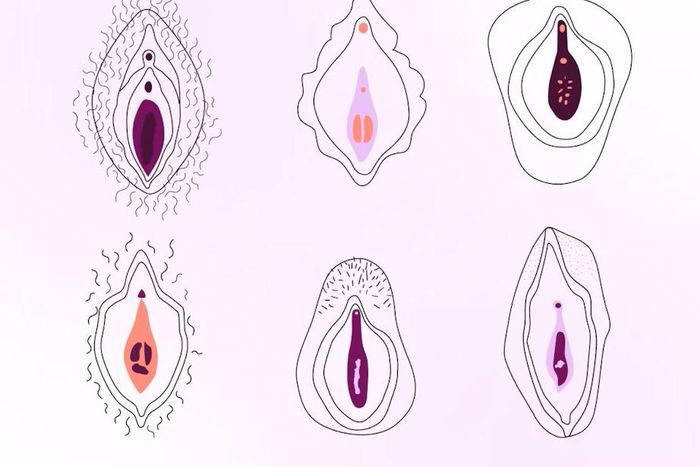 The hymen is a thin membrane located at the entrance of the vagina [Natural cycles]
