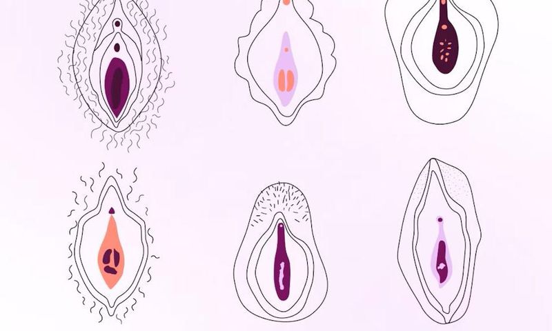 The hymen is a thin membrane located at the entrance of the vagina [Natural cycles]
