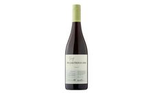 De Bortoli The Very Cautious One Shiraz