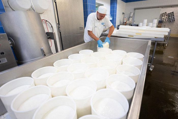 Uganda Milk demand in Kenya is on the rise