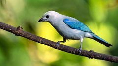 What the 'Twitter limit' means for businesses/Pexels
