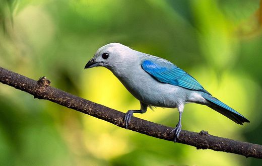 What the 'Twitter limit' means for businesses/Pexels