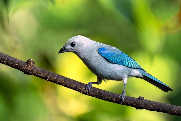 What the 'Twitter limit' means for businesses/Pexels