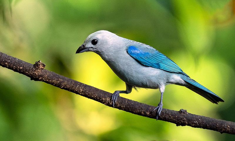 What the 'Twitter limit' means for businesses/Pexels