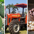 NAADS’ new strategy boosts awaiting pool of Hass avocado and Macadamia stakeholders/Courtesy