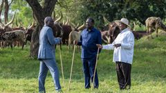 President Yoweri Museveni recently hosted Raila Odinga and President William Ruto