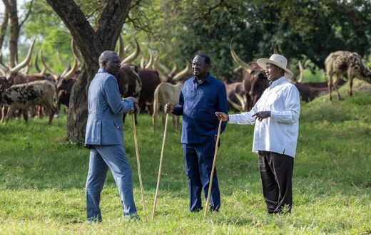 President Yoweri Museveni recently hosted Raila Odinga and President William Ruto