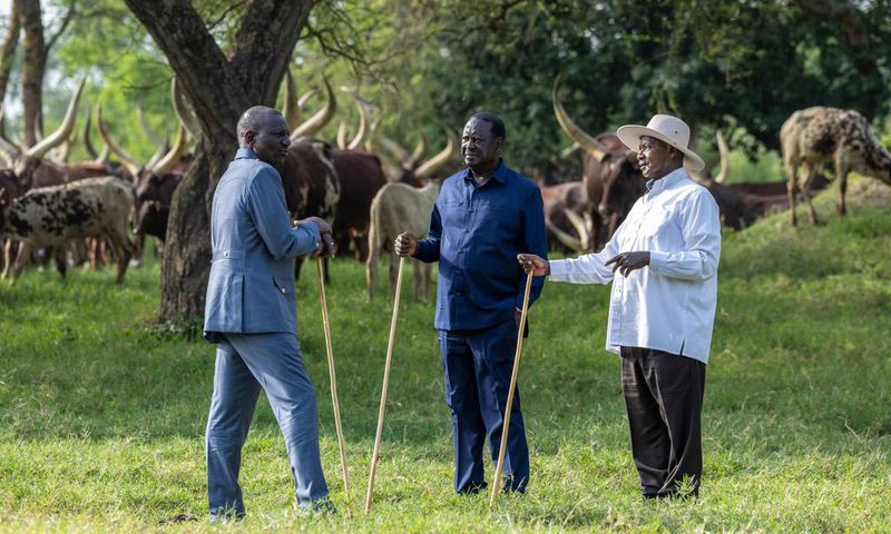 President Yoweri Museveni recently hosted Raila Odinga and President William Ruto