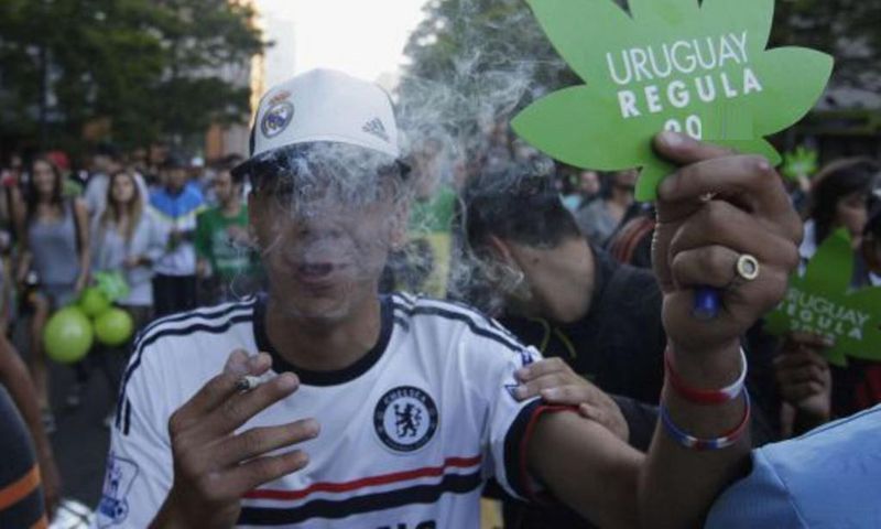 Hard drug usage is legal in some parts of the world [ELPAISEnglish]