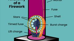The Anatomy of a Firework
