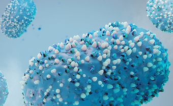 The Mpox virus