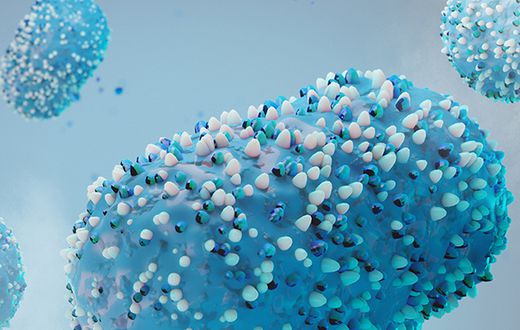 The Mpox virus