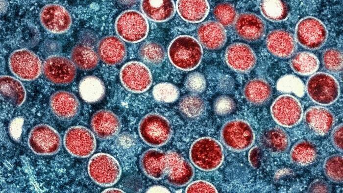 The Mpox virus