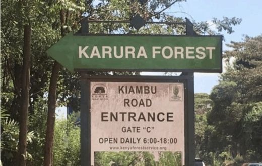 Karura Forest signboard