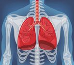 Lungs diagram